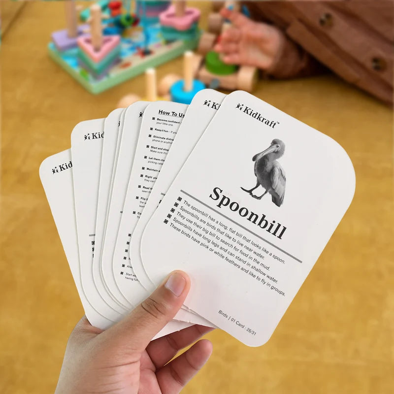 Kidkraft Early Learner Educational Flashcards 32 Birds