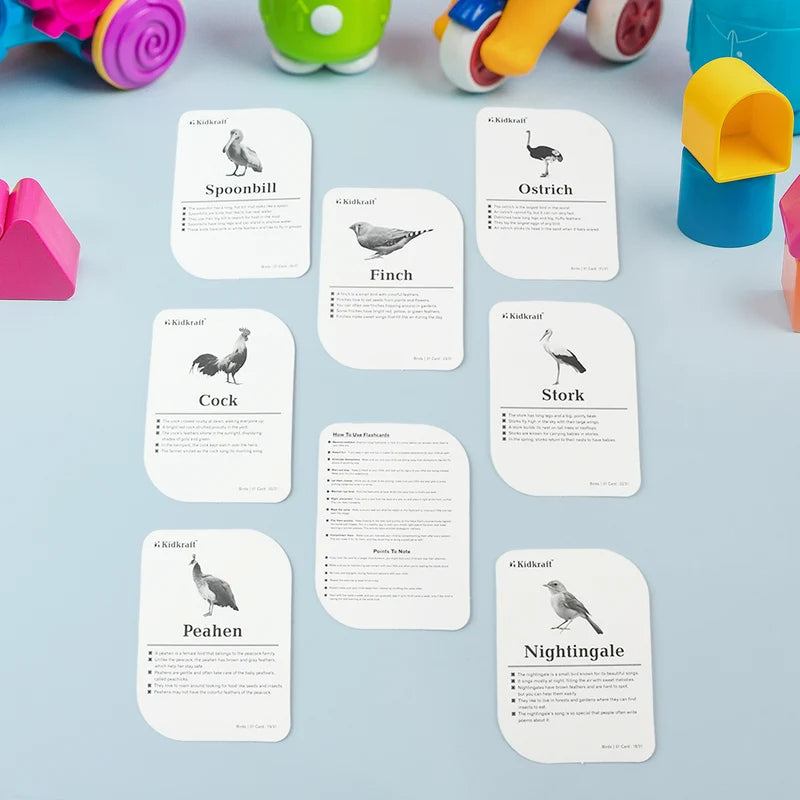 Kidkraft Early Learner Educational Flashcards 32 Birds