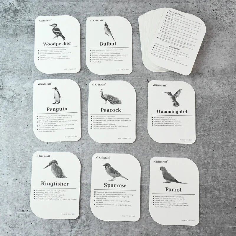 Kidkraft Early Learner Educational Flashcards 32 Birds